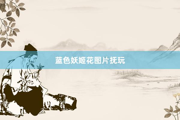 蓝色妖姬花图片抚玩