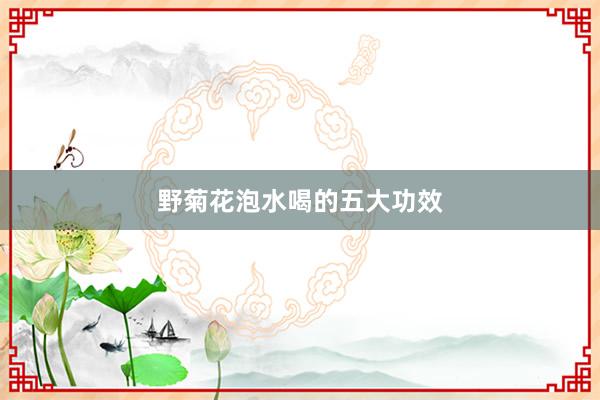 野菊花泡水喝的五大功效